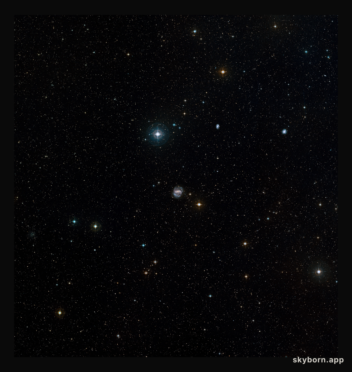 NGC 1672 in Dorado (ground-based image)