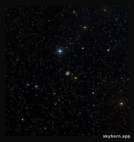 NGC 1672 in Dorado (ground-based image)
