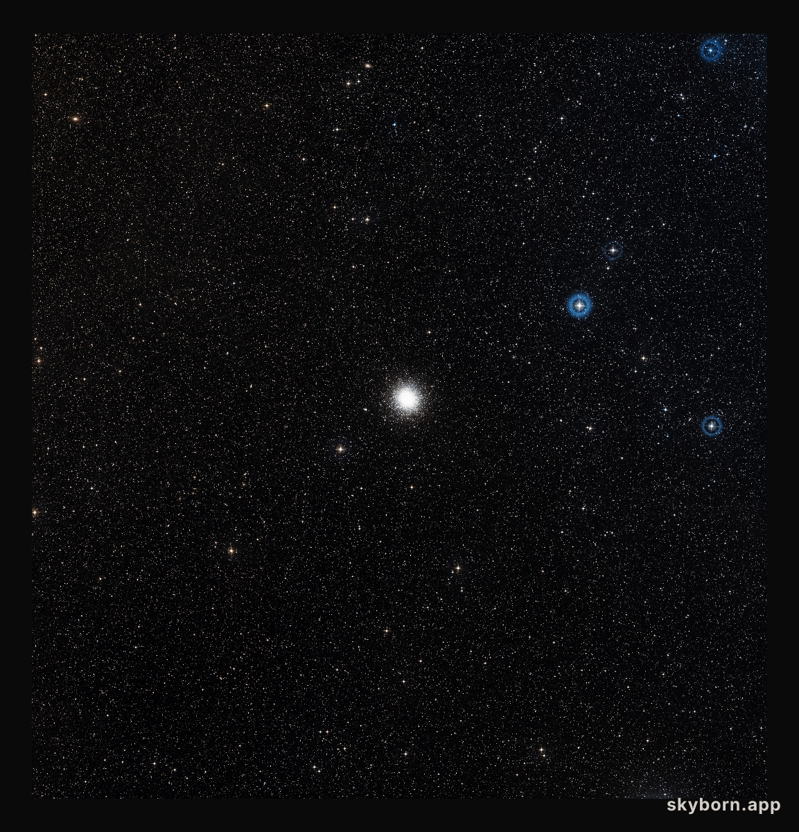 Wide-field image of the NGC 2808 region (ground-based image)