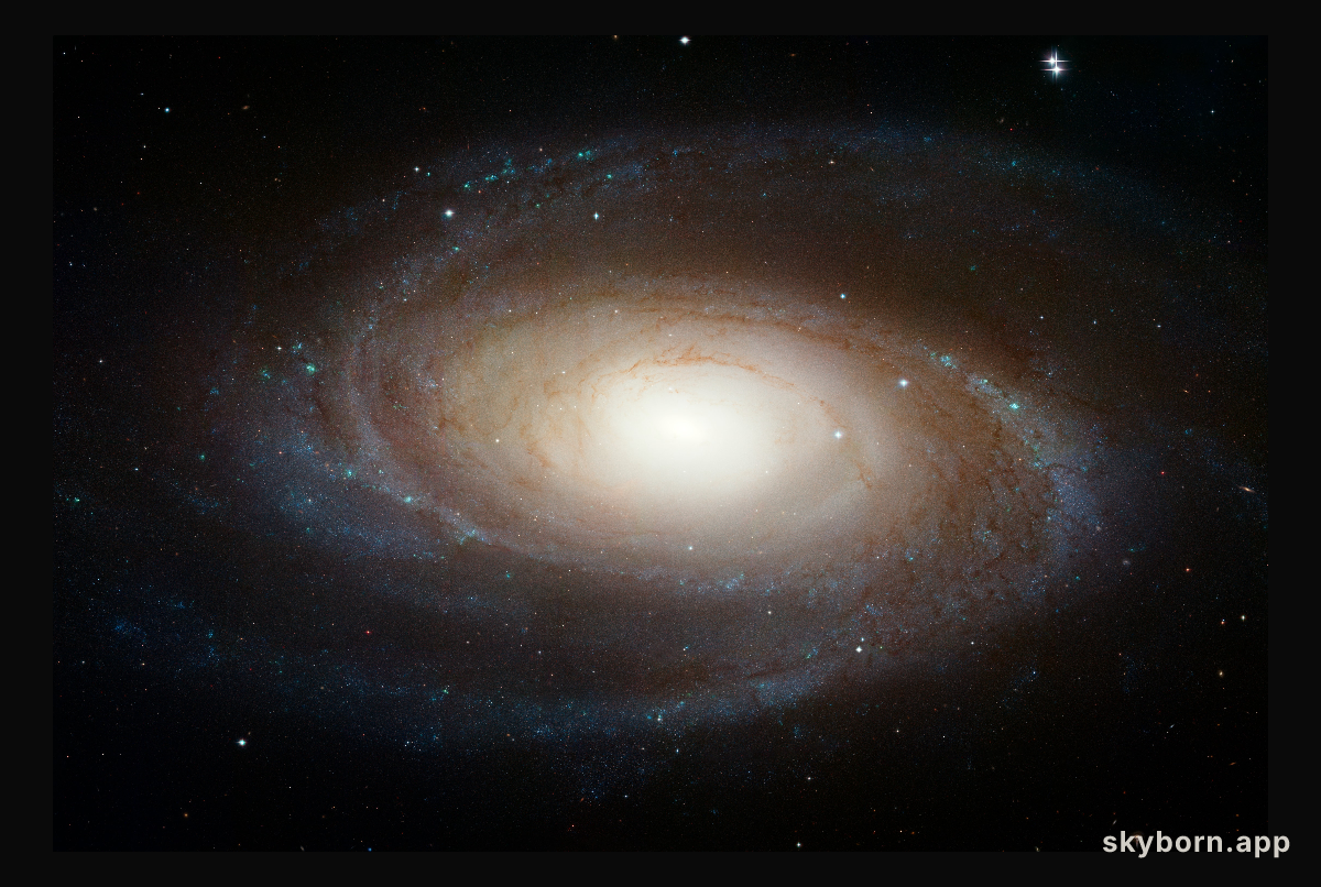 Hubble photographs grand design spiral galaxy M81