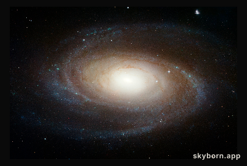Hubble photographs grand design spiral galaxy M81