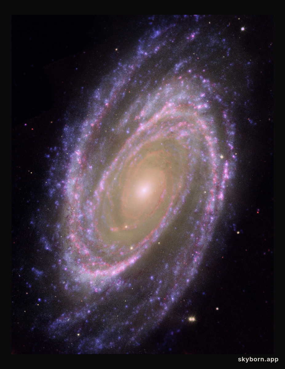 Hubble/GALEX/Spitzer Composite Image of M81