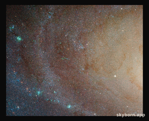 Spiral Galaxy M81 Details 4