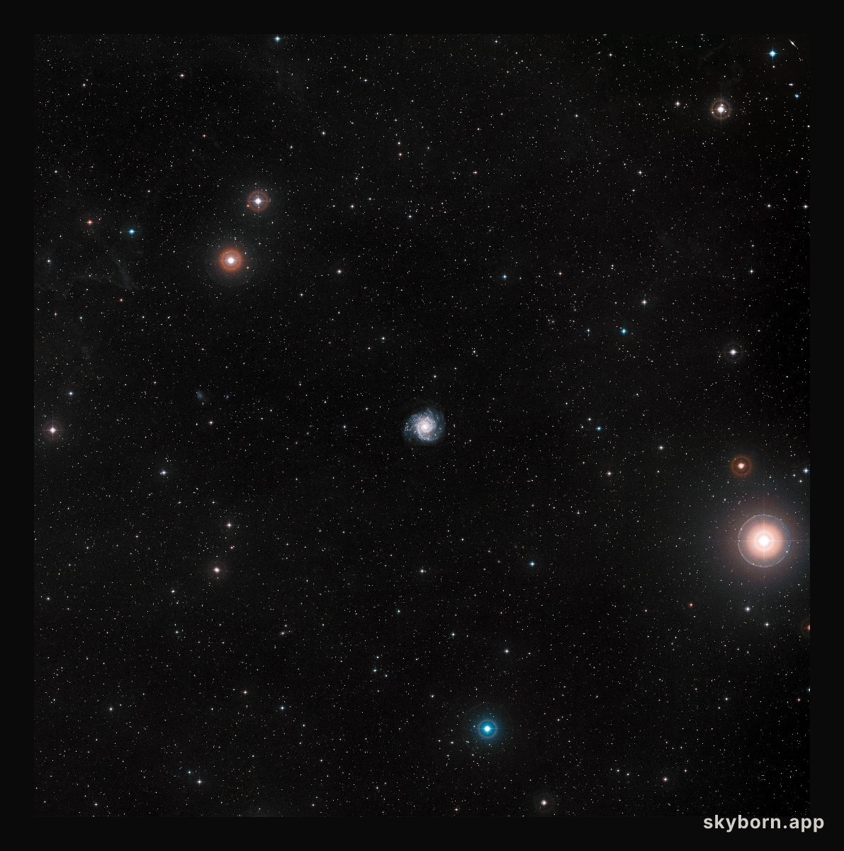 The Phantom Galaxy M74 from the DSS (ground-based image)