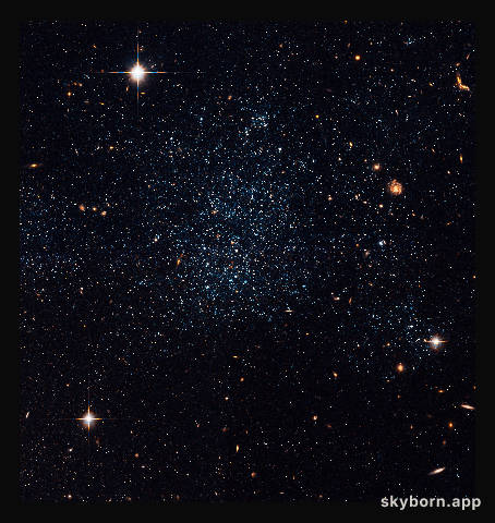 Dwarf Galaxy Holmberg IX
