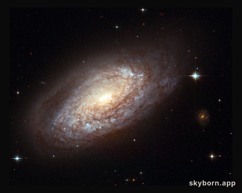 Galaxy NGC 2397 with an explosive secret