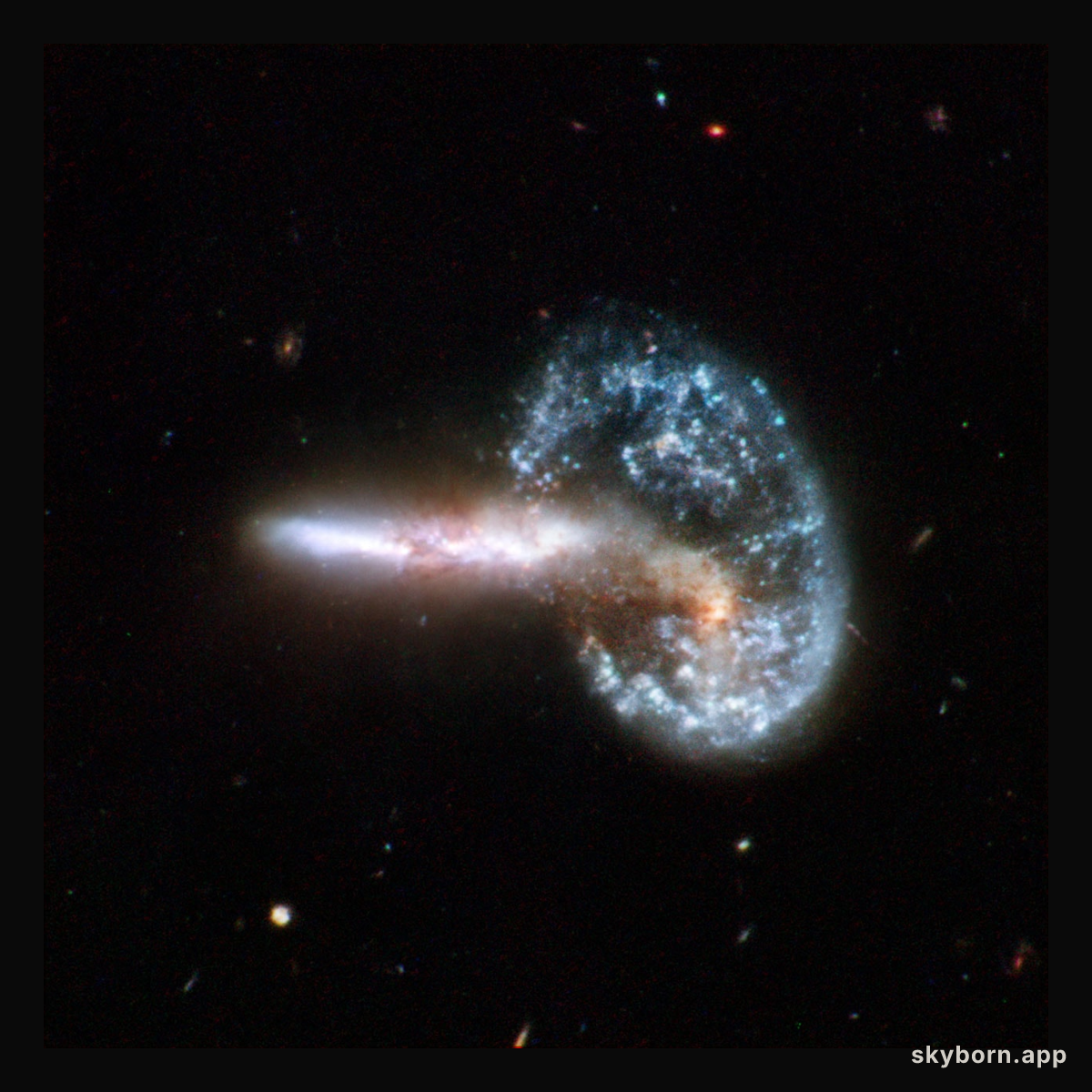 Arp 148
