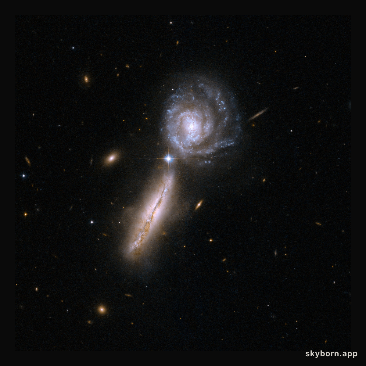 UGC 9618