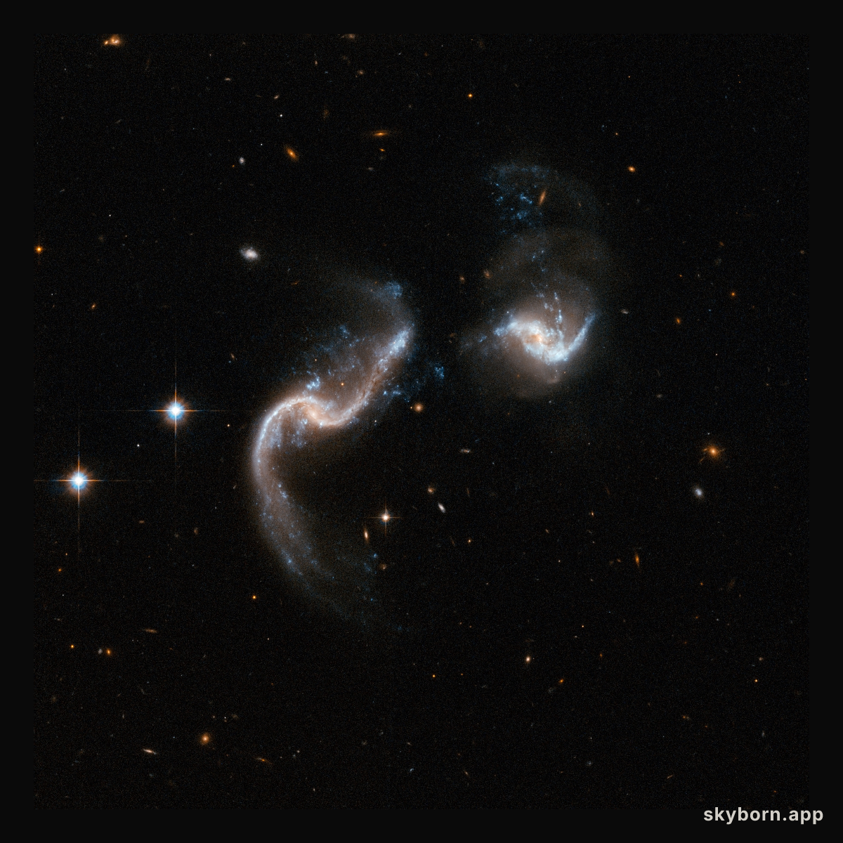 Arp 256