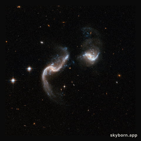 Arp 256