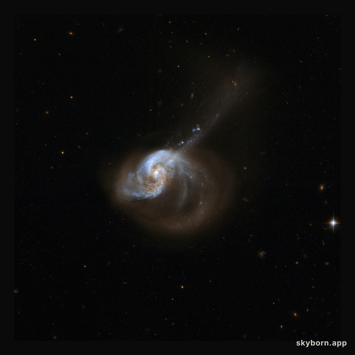 NGC 1614