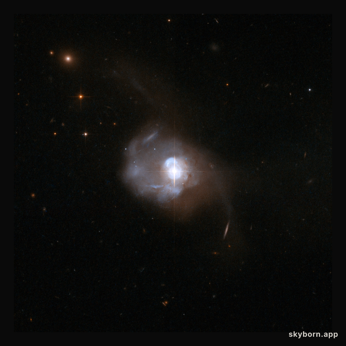 UGC 8058