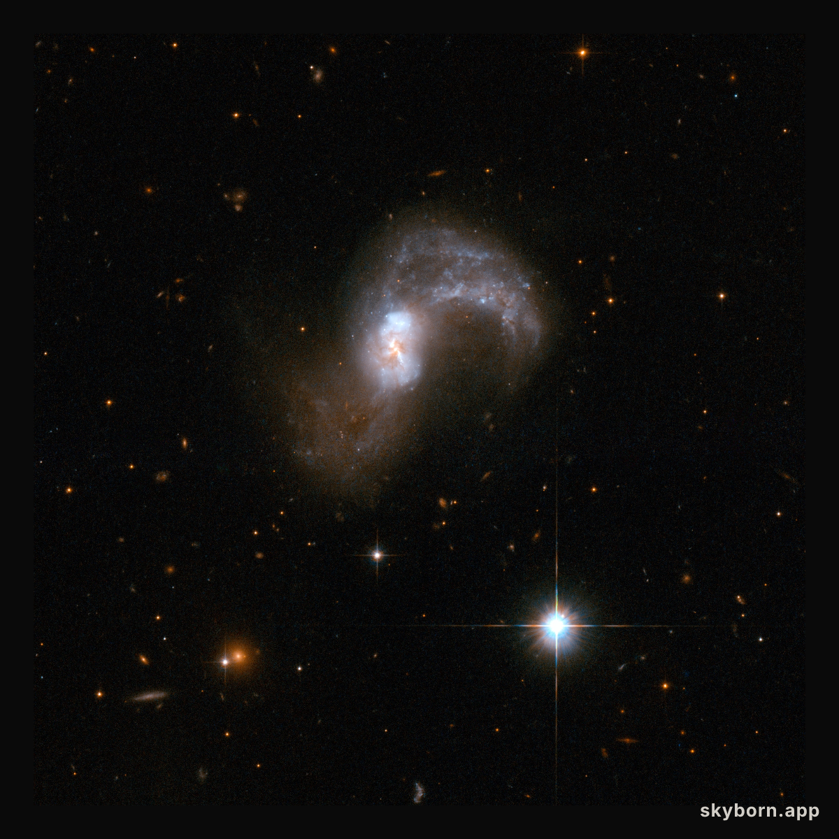 IC 2545