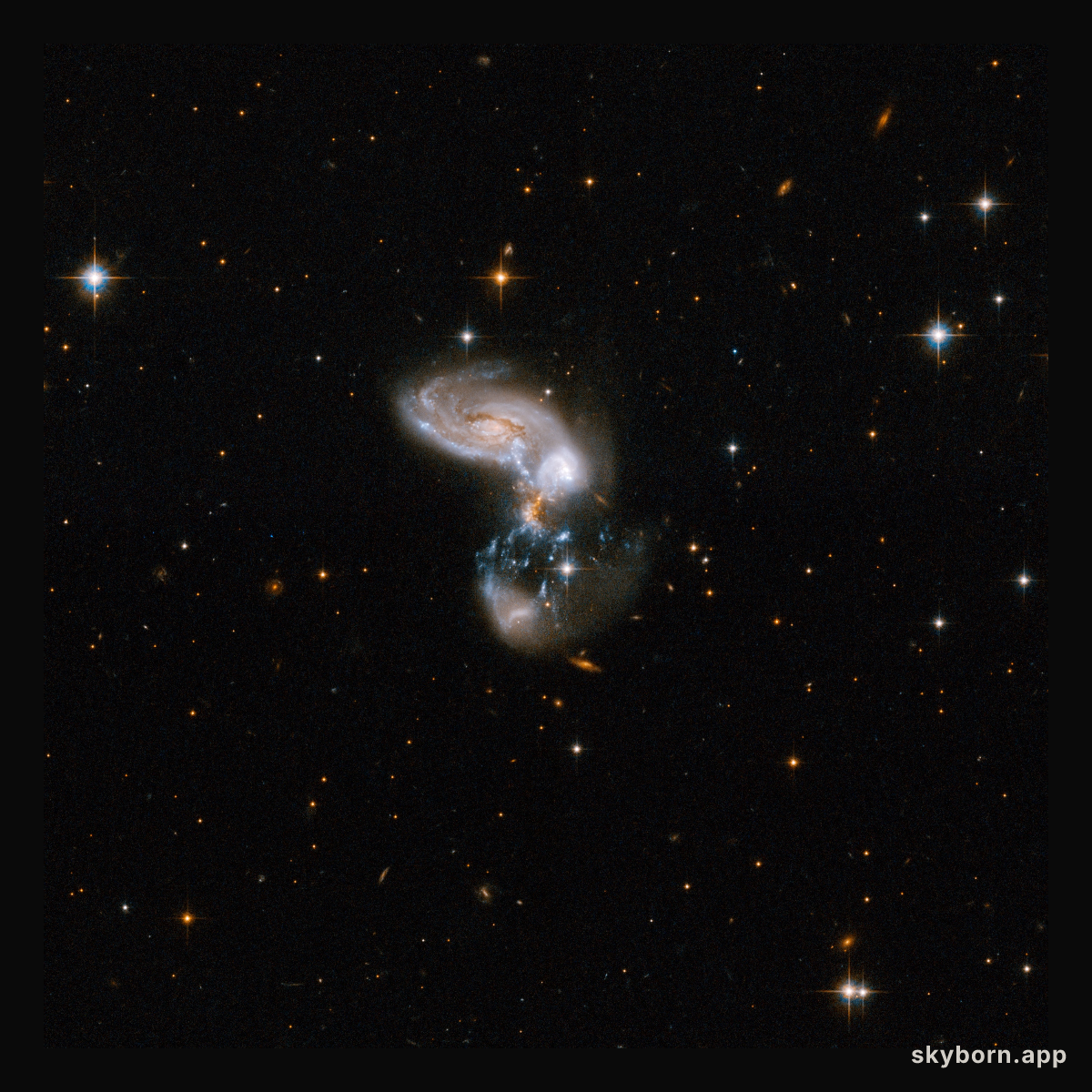 ZW II 96