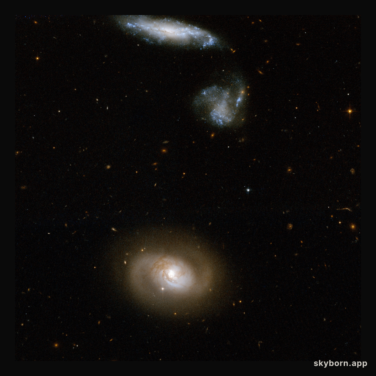 UGC 12812