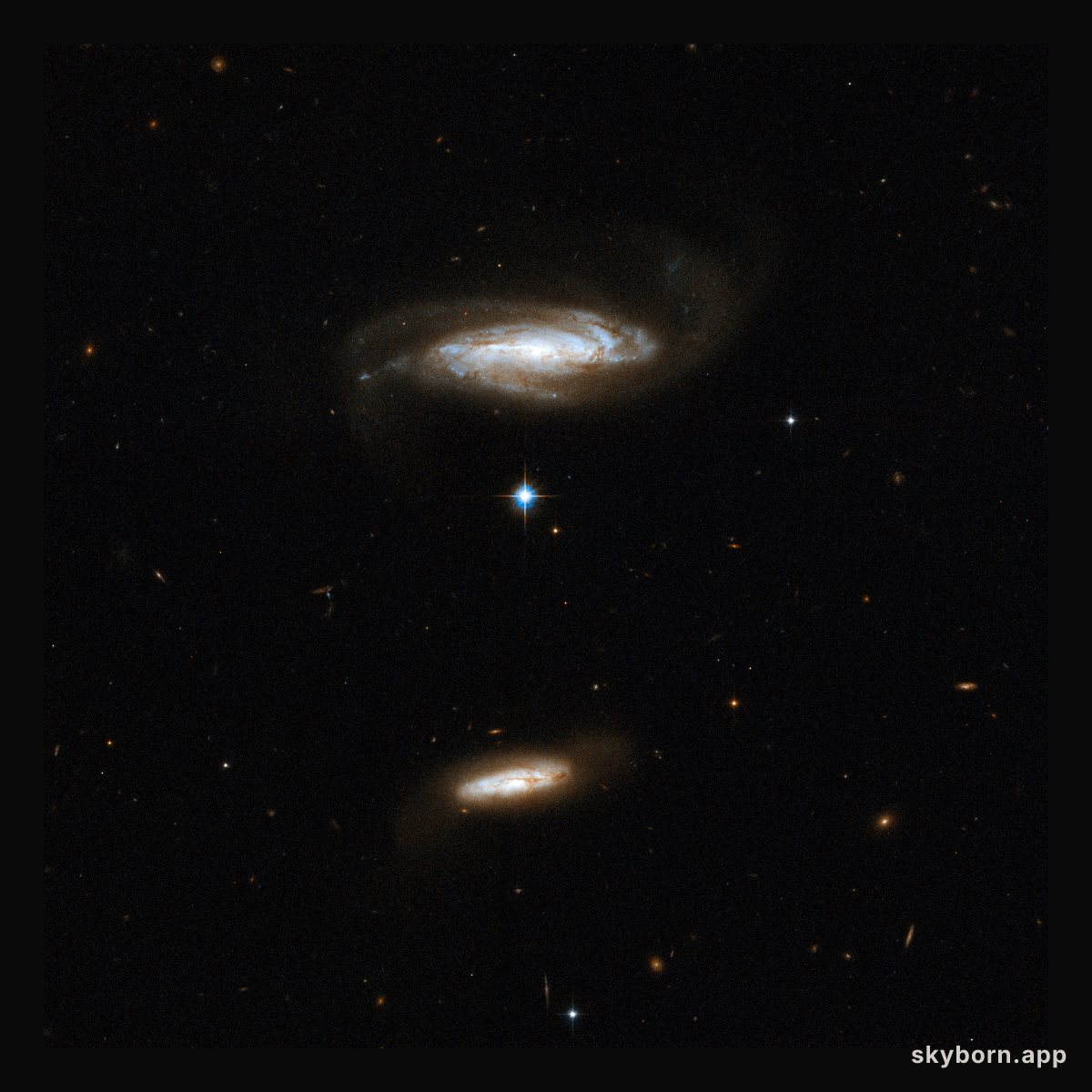 IC 2810