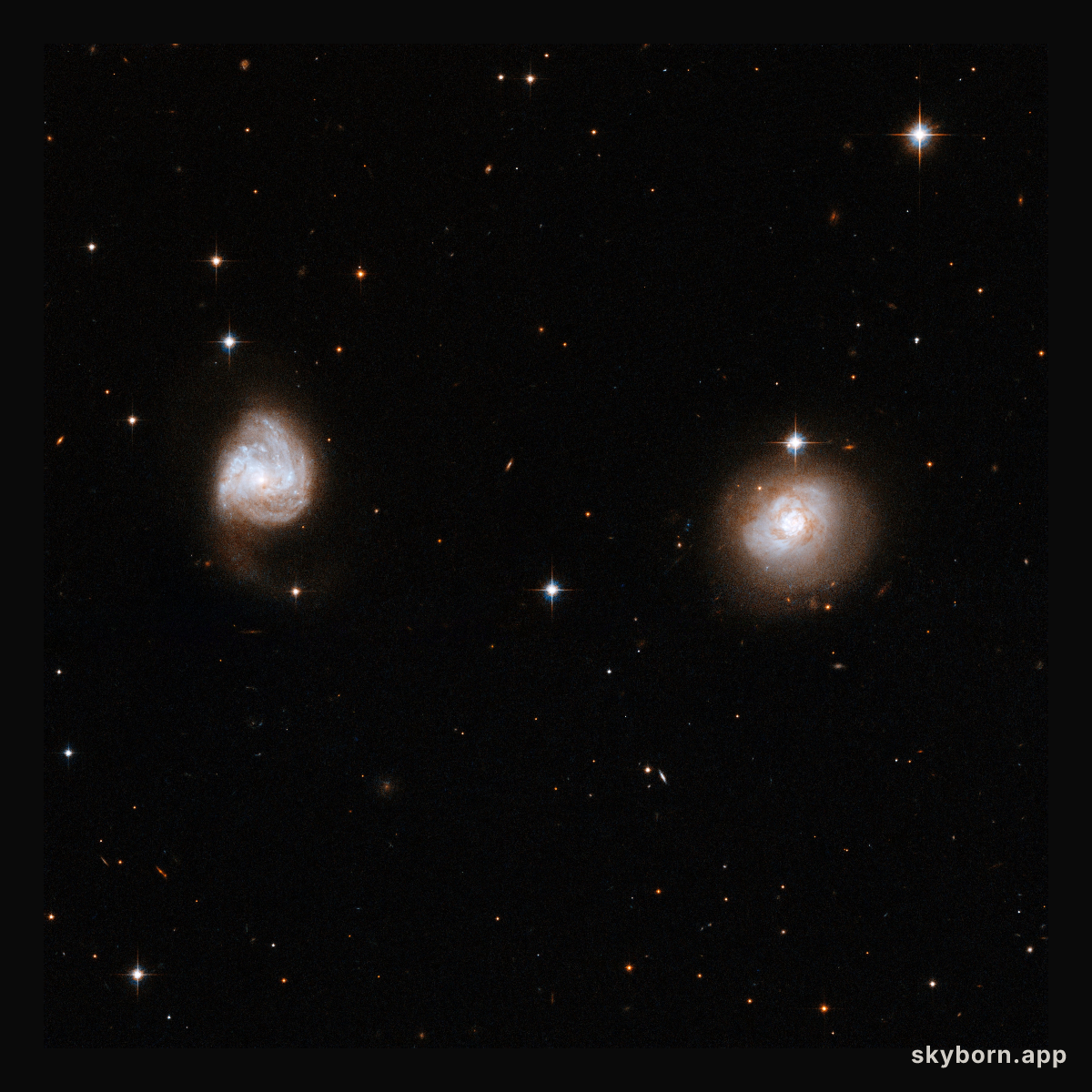 AM 0702-601
