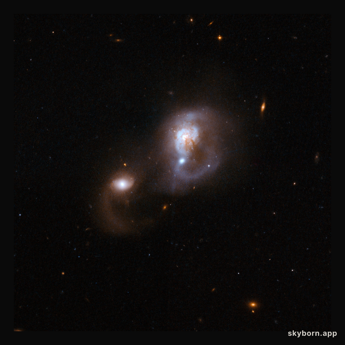 IRAS F10565+2448