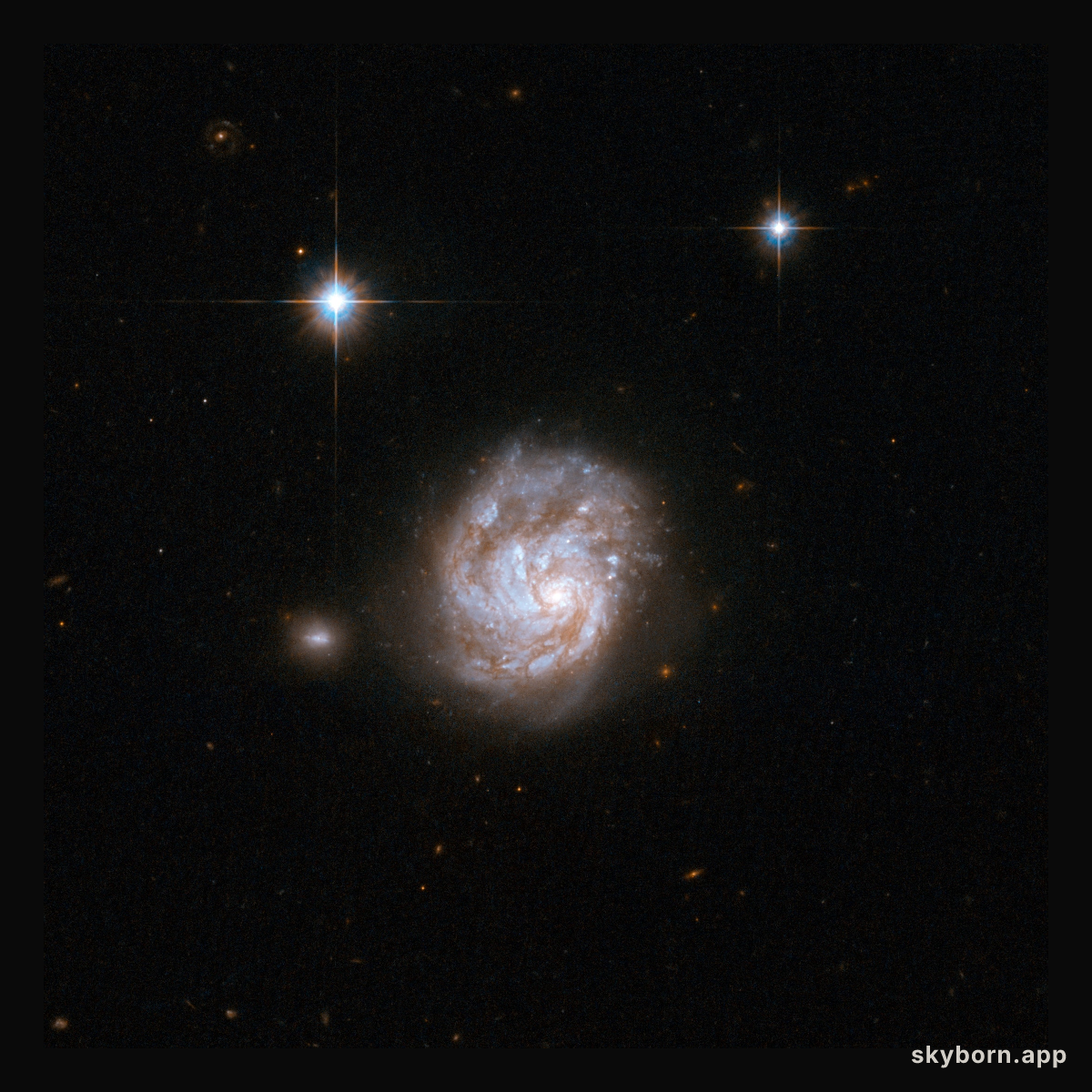 NGC 695