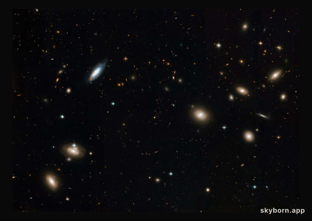 The Coma Galaxy Cluster as seen by Hubble