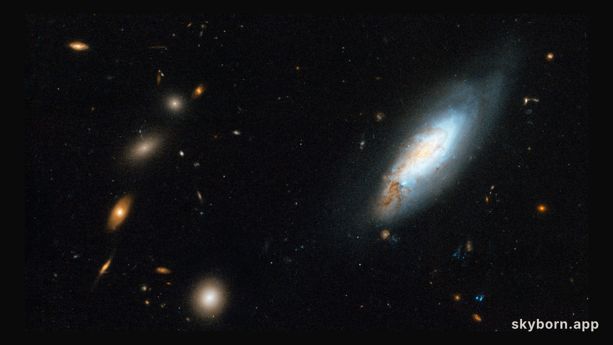 Coma Galaxy Cluster (Detail 1)