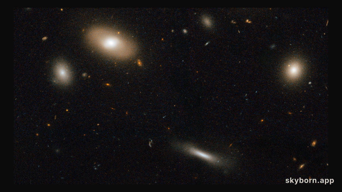 Coma Galaxy Cluster (Detail 2)