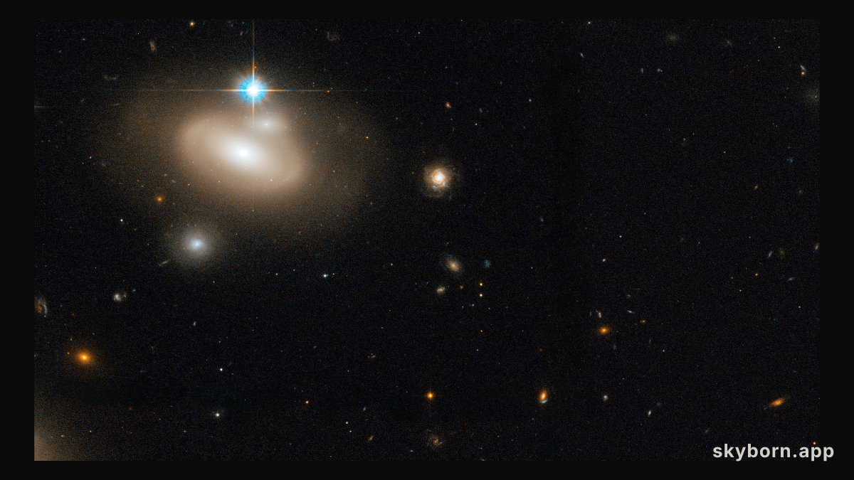 Coma Galaxy Cluster (Detail 3)