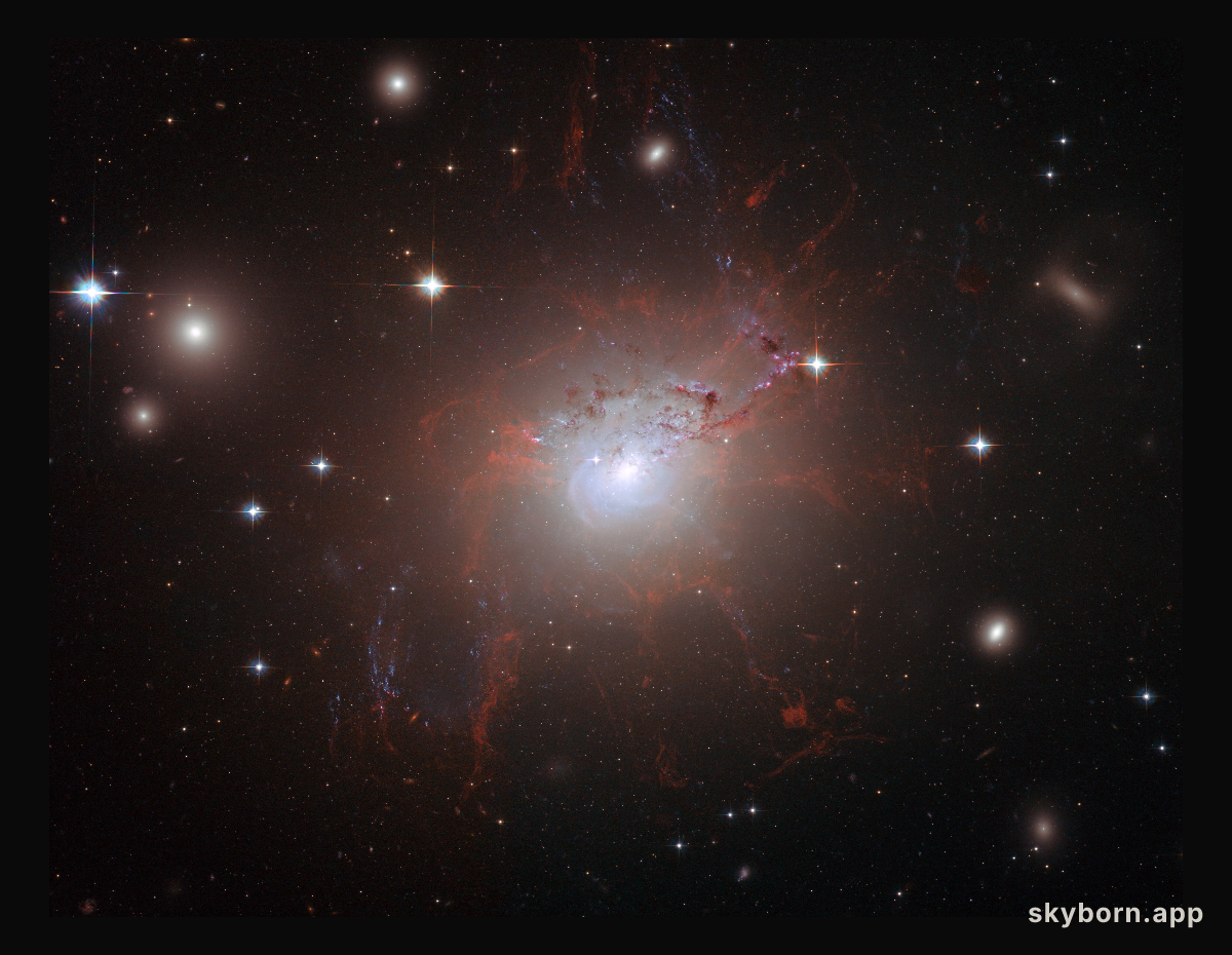 Magnetic monster NGC 1275