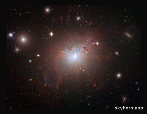 Magnetic monster NGC 1275