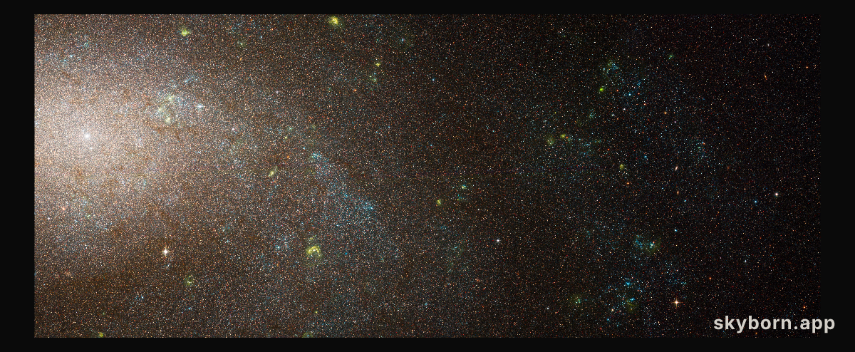 NGC 300