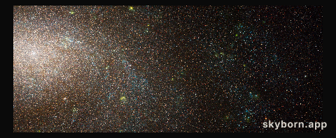 NGC 300