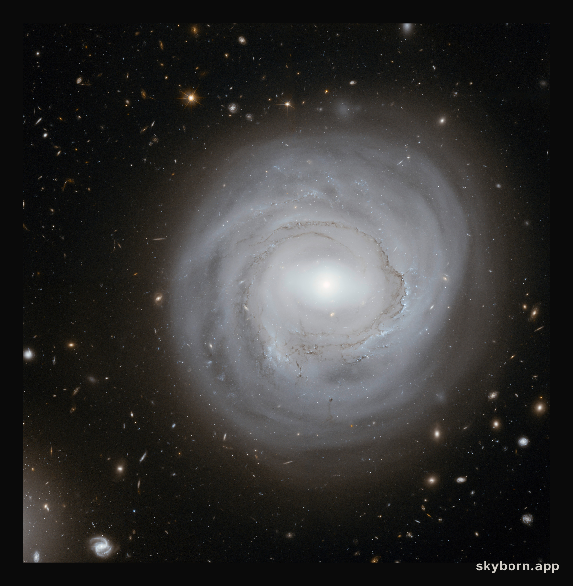 Unusual spiral NGC 4921 in the Coma Galaxy Cluster