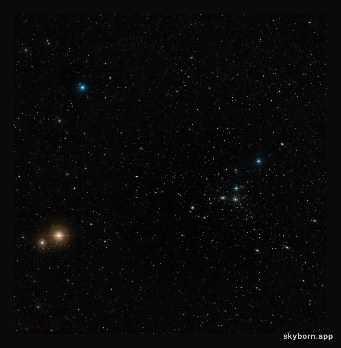 Wide-field view of the Coma Galaxy Cluster (ground-based image)