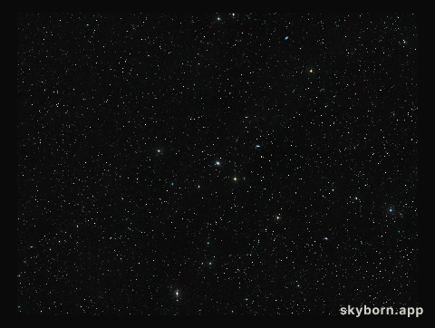 Wide-field view of NGC 7049 (ground-based image)
