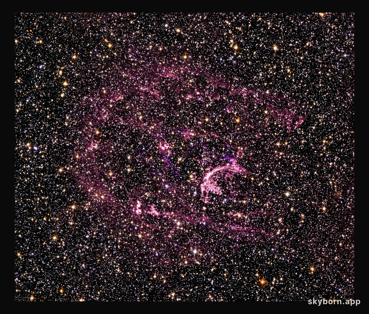 Probing the tattered remains of the supernova remnant N132D