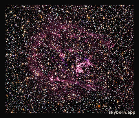 Probing the tattered remains of the supernova remnant N132D