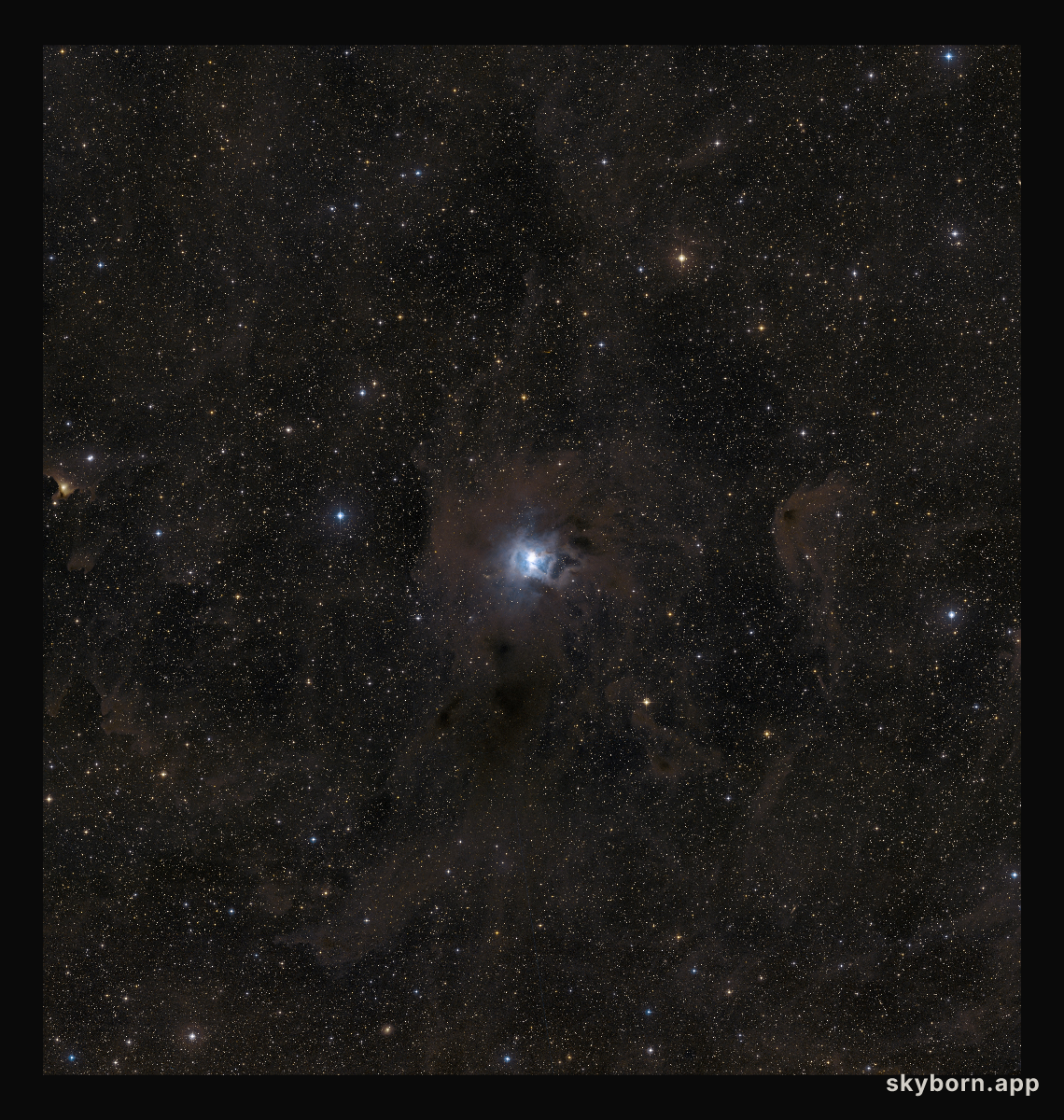 A wide-field view of the region around NGC 7023 (ground-based image)