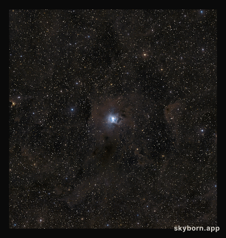 A wide-field view of the region around NGC 7023 (ground-based image)