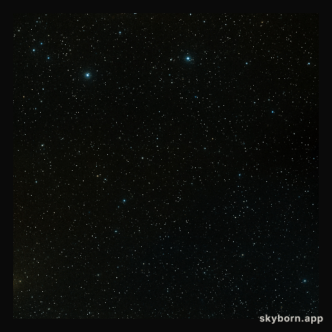 The field around the COSMOS survey (ground-based image)