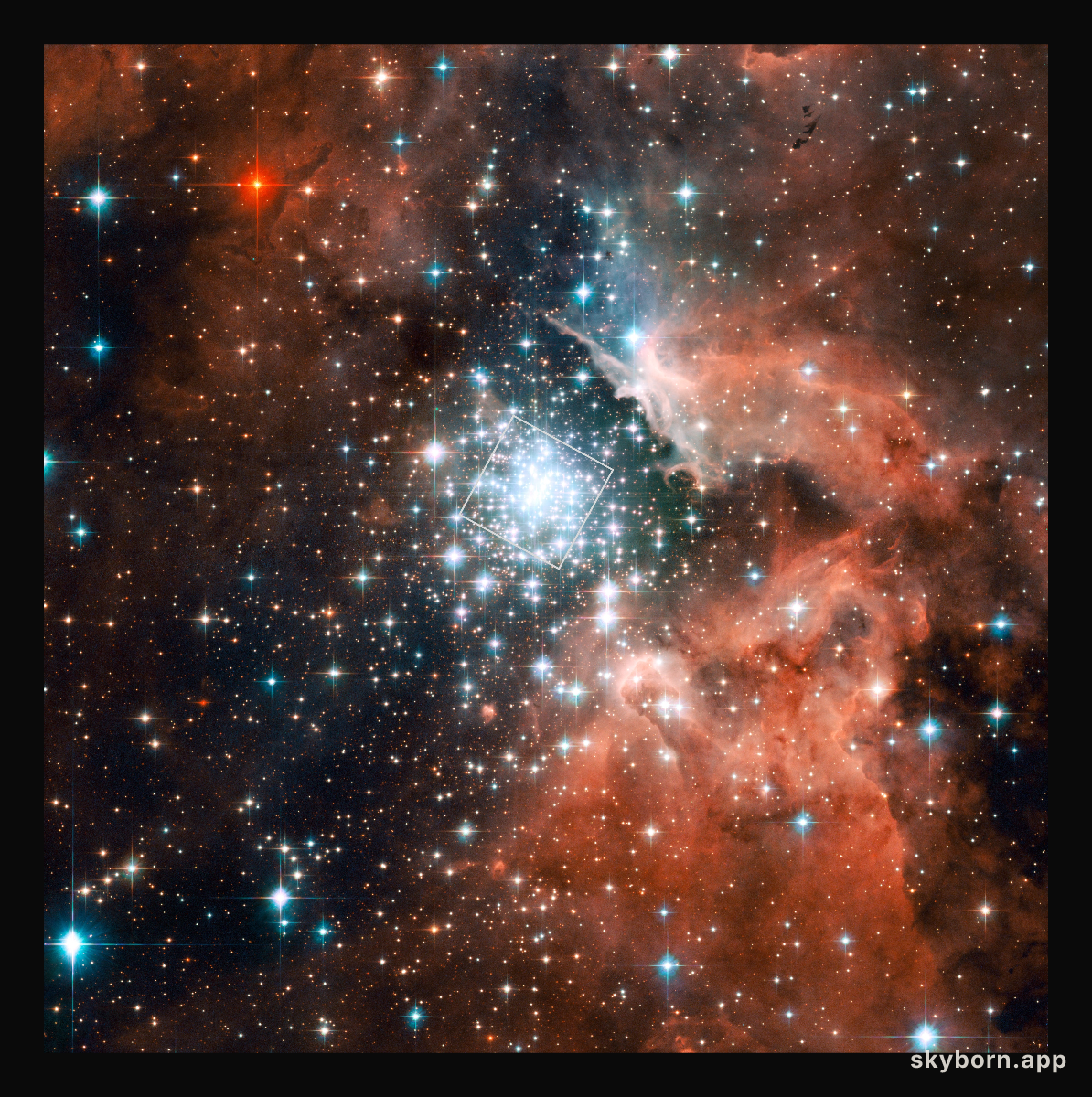 The massive compact star cluster in NGC 3603 and its surroundings