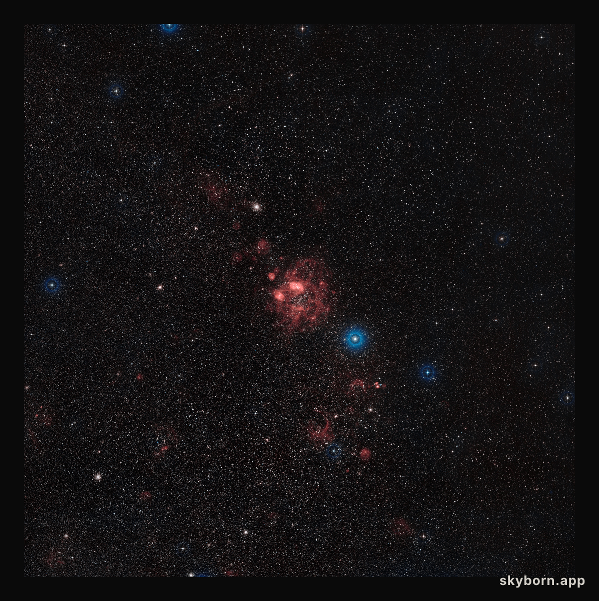 Overview of the Large Magellanic Cloud (ground-based image)