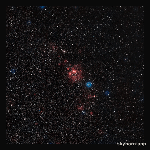 Overview of the Large Magellanic Cloud (ground-based image)