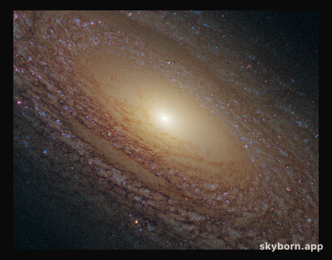 Flocculent spiral NGC 2841