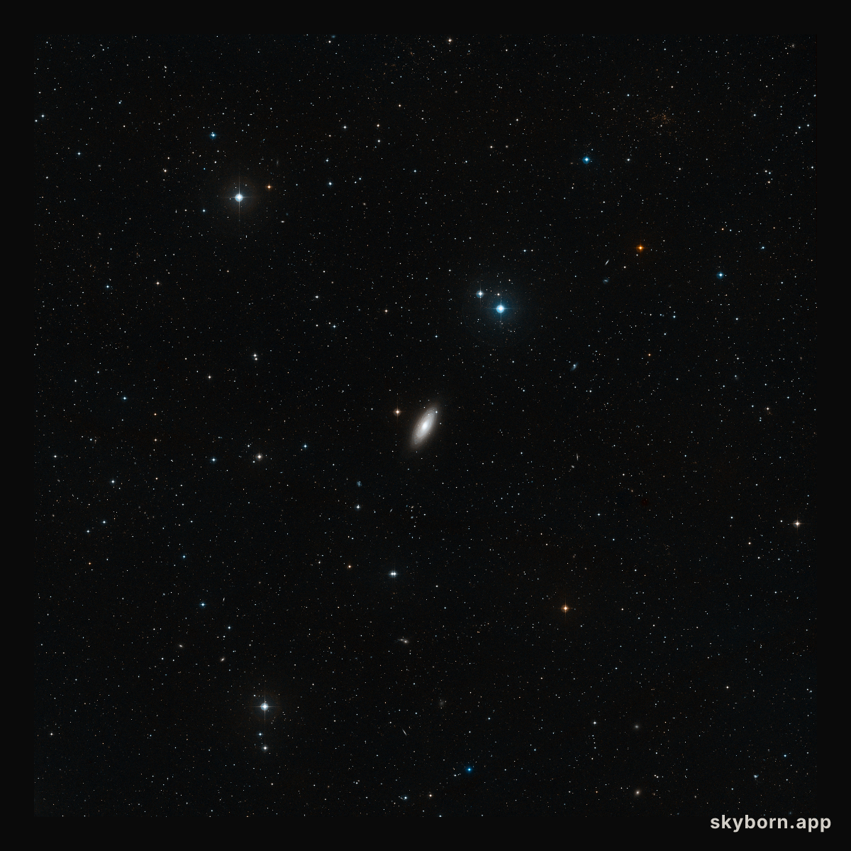 Wide-field view of NGC 2841 (ground-based image)