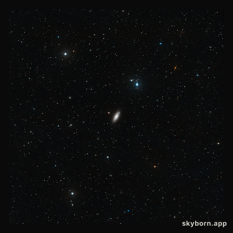 Wide-field view of NGC 2841 (ground-based image)