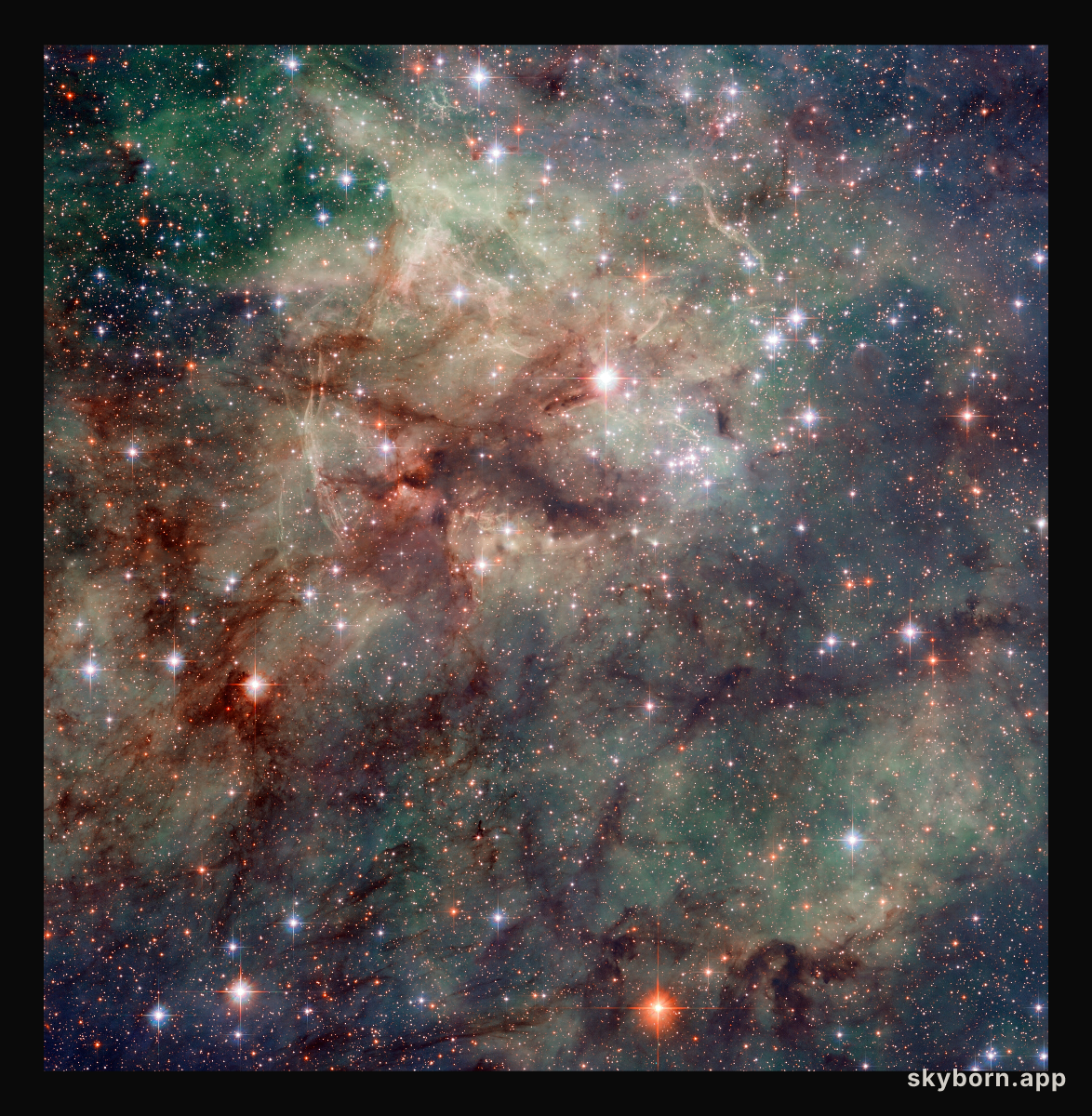 Hubble snaps close-up of the Tarantula