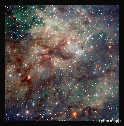 Hubble snaps close-up of the Tarantula