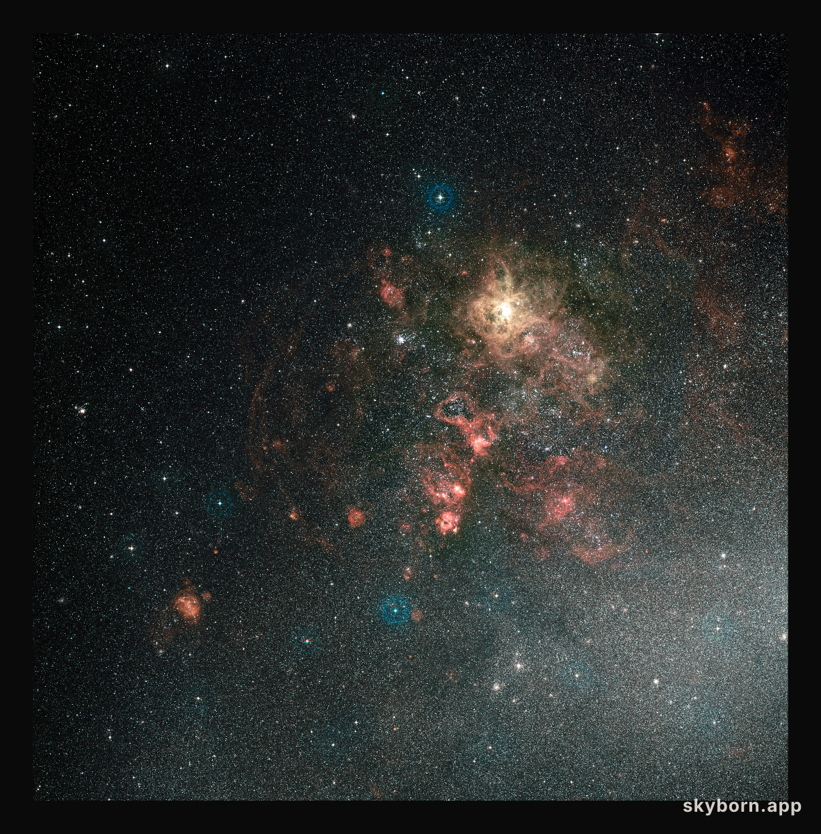 Wide-field view of the Tarantula Nebula and its surroundings (ground-based image)