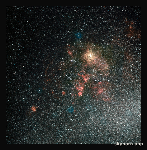 Wide-field view of the Tarantula Nebula and its surroundings (ground-based image)