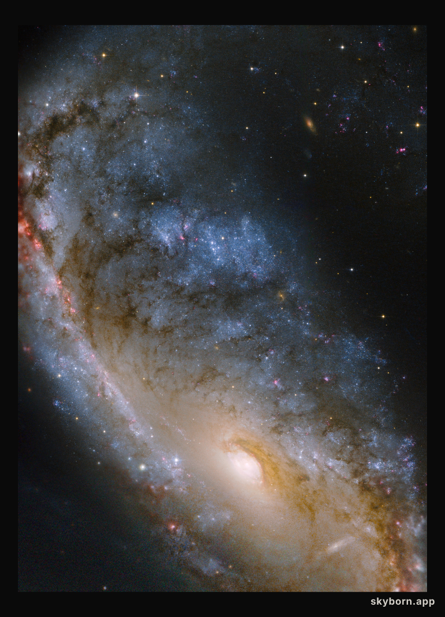 Hubble image of the Meathook Galaxy